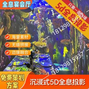3D Holographic Projection Interactive Bar Banquet Restaurant Wall Floor Control VJ Music Laser Projector for Exhibition Theater