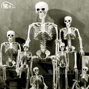 Halloween Horror Skeleton Head Decorations Props for Ghost House Escape Room Bar KTV Skeleton Costume Accessories Other