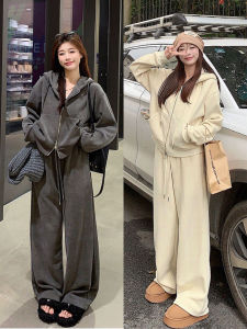 ทันสมัย ลำลอง ชุดกีฬา ผู้หญิง ฤดูใบไม้ผลิ ฤดูใบไม้ร่วง ดีไซน์ Double ซิป เสื้อฮู้ด เสื้อแจ็คเก็ต กางเกงขากว้าง ชุดทูพีซ