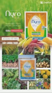 Nyro 0.1 SP - Thuốc Điều Hòa Tăng Trưởng Giúp Cây Trồng Phát Triển Vượt Trội ( 10g)