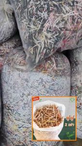 [แพ็ค10ชิ้น] กระดาษฉาก เข้ามุม 90° ฉากกระดาษ อัดแข็ง กระดาษแข็ง กันกระแทก มุมฉาก รองรัดเชือก มือสอง สภาพดี Corner bar Angle board ราคาถูก