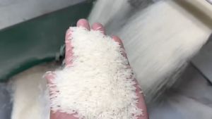 Gạo ST25 Lúa Tôm Nam Bình Gạo Nam Bình nhãn cam ST 25 cơm dẻo thơm vị đậm đà Gạo Miền Tây Đóng Bao 10Kg Gạo Xuất Xứ Việt Nam - Lazada