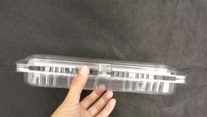 Mika TMT isi 50 pcs | Mika Tomat Cherry | Mika Sayur | Tray Sosis