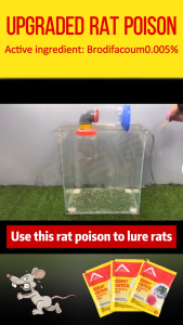 🐁100% mortality rate🐁Rat killer poison 1000g Ubat tikus paling kuat Kills smart mice Racun tikus paling kuat cepat mati Mice die in a litter Racun tikus mati 3 saat Mouse 老鼠药 killer rat poison Rat Repellent