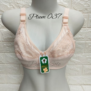 1PC BH MENYUSUI PLUM 037 SIZE 34-40