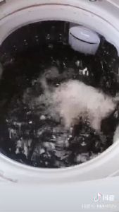 จัดส่งจากกรุงเทพ Sale ถูกมาก ผงล้างเครื่องซักผ้า ผงล้างและทำความสะอาดเครื่องซักผ้า (ผลิตภัณฑ์ทำความสะอาด) ยับยั้งแบคทีเรีย ลดกลิ่นอับ