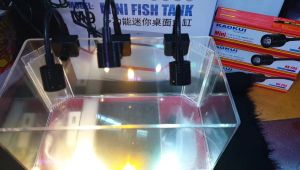 Đèn LED Rọi Mini KAOKUI KK F05 - Đèn Rọi Chuyên Dụng Cho Hồ Mini Bonsai Tiểu Cảnh Terarium