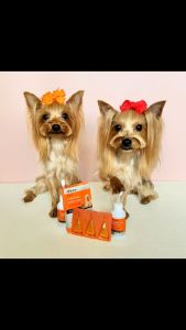 PUAINTA Pet Ear Cleaner 60ml for Cleaning Earwax Ear Mites and Odor Removal Ear pain itchy smelly ear for Dogs & Cats