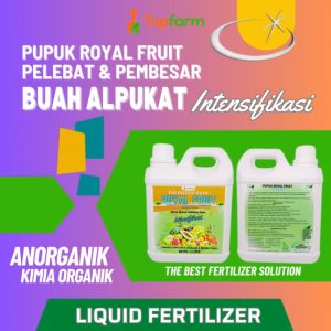 Pupuk Buah Super Lebat / Pupuk Organik Cair Khusus Anggur / Pupuk Khusus Pohon Anggur / Pupuk Khusus Tanaman Anggur / Pupuk Khusus Anggur / Pupuk Khusus Buah Anggur