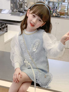 Spring Fashion Girls Dress Set Princess Style Long Sleeve round Neck Mid-Length Korean Version Two-Piece Suit for Little Girls