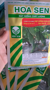 Hạt Giống Dưa Leo Ưu Thế Lai F1 VL-879 HOA SEN (Gói 10gr)