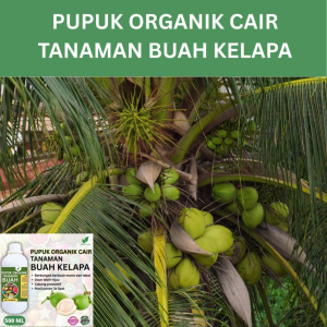 Pupuk Buah Kelapa 500 ML /Pupuk Booster Kelapa Cepat Berbuah Lebat/Pupuk Cair Kelaoa