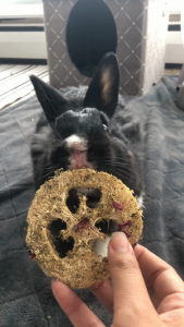 Chamomile Infused Loofah Chew Pack | No Furries Delights | Oat-Free Chew Treats or Toys for Small Animals & Birds