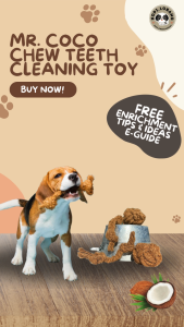 ✅[SG] MR COCO CHEW TEETH CLEANING ★ FREE Training e-Guide Worth $7★ Enrichment ★ SG Stock ★ Kopi Lobang