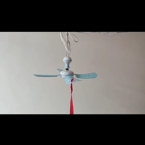 พัดลมไล่แมลงวัน มอเตอร์ทองแดงแท้ พัดลมแขวนไล่แมลงวัน ใช้สำหรับ อาหารสำเร็จรูป ร้านขายเนื้อ ร้านขายอาหารสด ร้านจานเย็น fly repellent fan พัดลมเพดาน ใช้ไล่แมลงวันและยุง พัดลมเฉพาะสำหรับร้านขายผลไม้/เดลี่/ร้านขายอาหารสด พัดลมเพดานไล่ยุงพัดลม