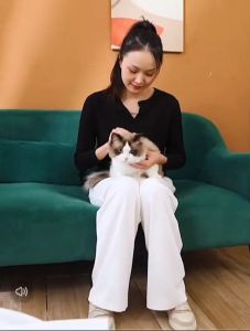 Hair Removal Brush Multifunctional Dust Pet Hair Fur Remover Double Side Self Clean Tool With Travel Pack Berus Penyingk