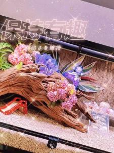 Purple Sapling Climbing Wood for Reptiles And Amphibians Pet Lizards Geckos Turtles Crabs Frogs Snakes Hideout Decoration Cage