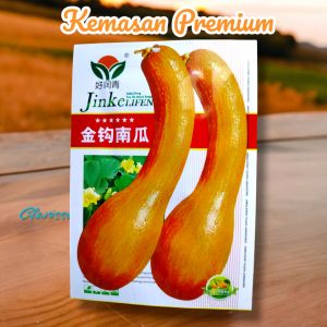 (KEMASAN PREMIUM) BIJI/ BENIH LABU CROOKNECK SQUASH (isi -+20 butir benih)