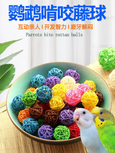 Interactive Squeak Ball Swing Toy for Parrots Dental Care Training Feeding Exploration Tiger Lily Bone Bird Supplies Parakeet