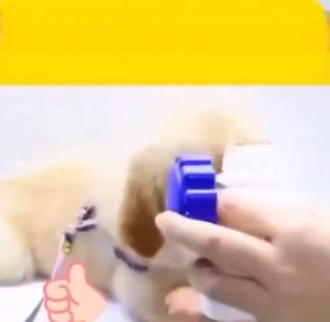 Borammy Pet Trace Elements Tablets Pet Supplement for Dogs & Cats Nutritional Supplements 180 Tablets