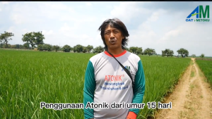 Atonik Pupuk+Zpt 500Ml