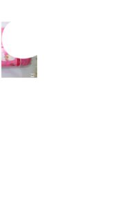 [HCM] Bộ Gối Chặn và gối Nằm Đậu Xanh Hút Mồ Hôi Cho Bé