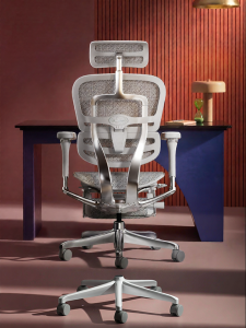 Ergonor | Smart Premium Ergonomic Chair