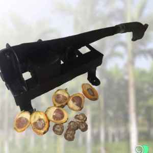 Pembelah pengupas pencongkel pinang tanpa dijemur