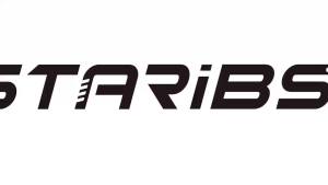 STARIBS 12-1/2" Planer Blades for Delta 22-560 22-562 TP400LS HSS Replacement Knives Set of 2