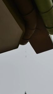 DFANCCIE Payung TRANSPARANT Bening Payung Korea Japan Best Quality