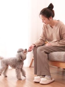 🔥 ใหม่ เครื่องสำอางกรอกแฮม ขนมสุนัข ขนมแมว เนื้อ ไก่ สูตรโซเดียมต่ำ เนื้อเยอะแป้งน้อย