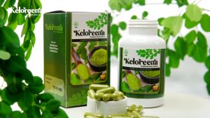 Suplemen Mata Obat Mata Katarak Obat Mata Minus Obat Mata Berlemak Ptreygium Kekuningan Obat Mata Glaukoma Mata Rabun Jauh Dekat Iritasi Mata Pandangan Buram Pandangan Berbayang Saraf Mata Rusak - Keloreena Asli 100% Alami