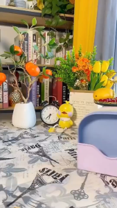 10 ถาดพลาสติกสีพร้อมฐานถาดพลาสติกบนโต๊ะอาหารถาดข้าวสาลีถาดผลไม้เครื่องครัวขนาดเล็ก