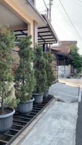 BEST SELLER - SINTIA DRESS BRUKAT INNER + OUTER SERIES BURGUNDY!! BUSUI FRIENDLY DRESS KONDANGAN WANITA JUMBO DRESS BROKAT GAUN BRIDESMAID GAMIS TERBARU LEBARAN UKURAN M  L  XL  XXL