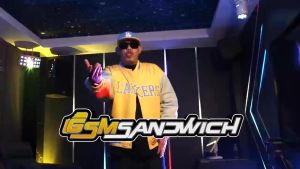 GSMSandwich Super Battery B-W1 for VIVO Y02s / Y02 / Y02a / V220 / Y35 5G 5000mAh