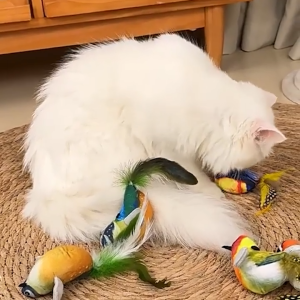 Petus ของเล่นแมว ของเล่นตุ๊กตา ของเล่นสัตว์เลี้ยง cat toy มีเสียง ระบบเซ็นเซอร์ เหมาะสำหรับสัตว์ทุกวัย ปลดปล่อยความเคลียด