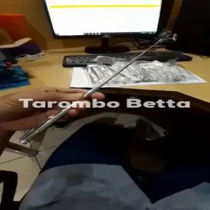 FLARE STICK - Stik Cermin Mental Ikan Cupang Jantur Kontes Ngedok