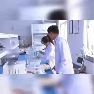 BLG🐭Rat Killer🐭racun tikus paling kuat 老鼠药 20 years of professional rodent control the comprehensive rate of rodent control is as high as 87% ubat tikus ubat tikus rat poison killer ubat tikus paling kuat mati rat killer rat poison racun tikus