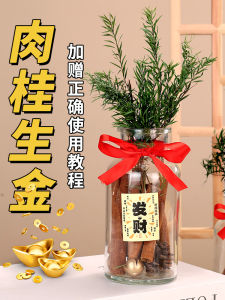 Cinnamon Fortune Bottle Decorative Glass Vase DIY Materials for Moving New Home Living Room Decoration Chinese Style Home Decor