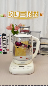 SG【Ready Stock】Professional Health Preservation Pot Zemkon: Automatic Herbal Tea Maker with Keep-Warm Function Boil Protection Digital Temperature Control Glass Construction with Strainer