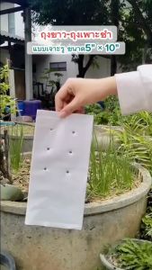 ถุงปลูก สีขาว (5x10")(แพ็ค 100 ใบ) ถุงปลูกสลัด/สตรอเบอรี่ รากเย็น (เกรดA/สินค้าไทย/ออกใบกำกับภาษี)