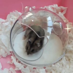 ห้องน้ำสัตว์เลี้ยงจิ๋ว ห้องน้ำอะคริลิค ห้องน้ำแฮมเตอร์ เจอร์บิล ดอร์เม้าส์ ไจแอนท์ แบบใส 360องศา เรียบหรู