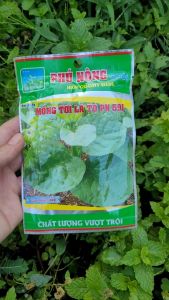 [Freeship Max] Hạt giống Phú Nông Mồng tơi lá to PN 591 gói 20 gram