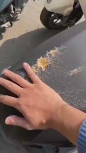 ส่งสินค้าทุกวัน หุ้มเบาะมอเตอร์ไซค์ ใส่ได้รถทุกรุ่น ขึ้น วัสดุ PU กันน้ํา กันรอยขีดข่วน กันแดด ผ้าเบาะรถมอไซ ชุดคลุมเบาะรถมอไซค์