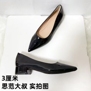 Elegant Black High Heels Chunky Heel Single Shoes for Women Fashionable Versatile Autumn Winter Mary Jane Shoes Slip-On Rubber Sole