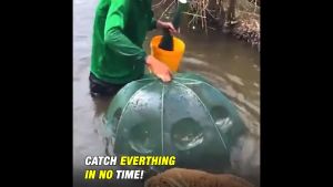 ✅Original fast delivery✅Portable Automatic Folding Fishing Net Nylon Crab Shrimp Net Trap Cast Dip Cage Fishing Bait Shrimp Cage Crab Fish Trap Cast Net