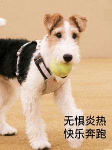 Voocoo Dog Leash Vest-Style Anti-Escape Harness for Small Medium Large Dogs Outdoor Walking Durable Polyester No Stretch