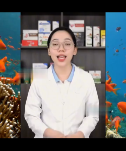 Viên Uống An Đường DMEX 30 Viên – Ổn Định Đường Huyết Hỗ Trợ Người Tiểu Đường Giảm Mỡ Máu