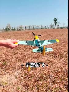 Volantexrc | Máy Bay Lượn Điều Khiển Từ Xa Chống Va Đập Dành Cho Người Mới Bắt Đầu