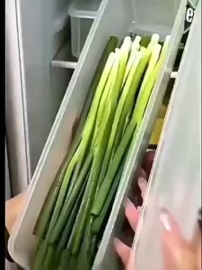 1-4pc Cilantro Scallion Storage Box Refrigerator Boxes With Lid Transparent Sealed Fruit Container Noodles Sealed Organizer